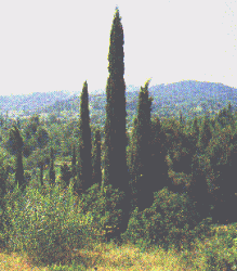 a4b7923faa5fcba378c214a04f181f57.gif
